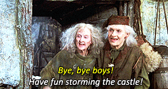 Have Fun Storming the Castle.gif